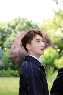 娱乐许魏洲,娱乐界的璀璨新星，多才多艺的青春偶像